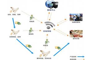 賽億科技 以網絡技術開發為基石，驅動物聯網解決方案創新
